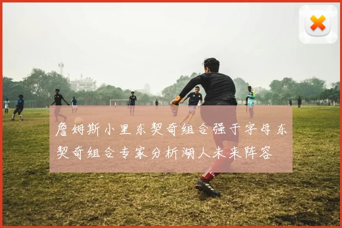 詹姆斯小里东契奇组合强于字母东契奇组合专家分析湖人未来阵容
