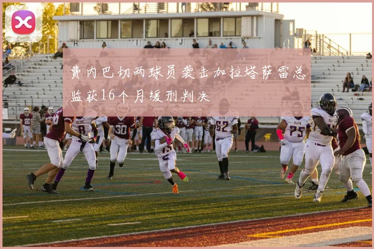 费内巴切两球员袭击加拉塔萨雷总监获16个月缓刑判决